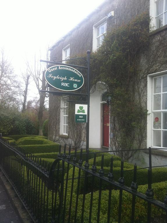 Ivyleigh House Bed & Breakfast Port Laoise Exterior foto